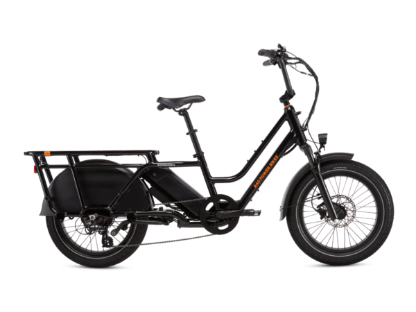 Electric cargo bike with a black frame, large rear rack, and thick tires designed for carrying heavy loads.