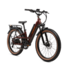 A red electric mountain bike with wide tires, front suspension, and a rear cargo rack is shown against a white background.