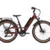 A red electric bike with a black seat, wide tires with brown rims, and a rear cargo rack on a white background.