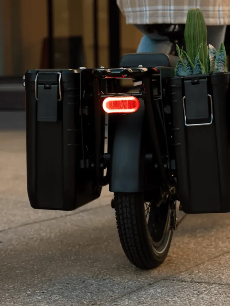 Back view of a bicycle with two black panniers on either side of the rear wheel, a red light, and a few green vegetables sticking out. The bike is parked on a concrete surface.