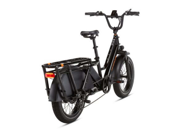 Electric cargo bike with a step-through frame, pannier racks, wide tires, and a digital display on the handlebars, viewed from a rear side angle.