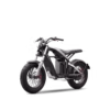 The Segway Xyber Electric Bike features a minimalist frame, chunky tires, and an exposed battery, displayed on a white background.