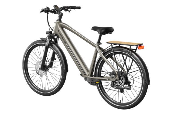 The Asphalt Ebike, shown from a rear side angle on a white background, features a silver frame, front suspension, rear cargo rack, disc brakes, and fenders.