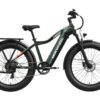 A green fat-tire electric bike with a sturdy frame, rear cargo rack, front suspension fork, and disc brakes, shown in a side view on a white background.