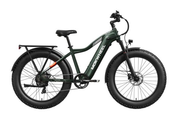 A green fat-tire electric bike with a sturdy frame, rear cargo rack, front suspension fork, and disc brakes, shown in a side view on a white background.
