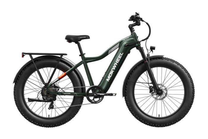 A green fat-tire electric bike with a sturdy frame, rear cargo rack, front suspension fork, and disc brakes, shown in a side view on a white background.