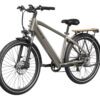 The Asphalt Ebike, shown in gray with a step-over frame, front suspension, disc brakes, and rear rack, is displayed from a three-quarter rear angle on a white background.