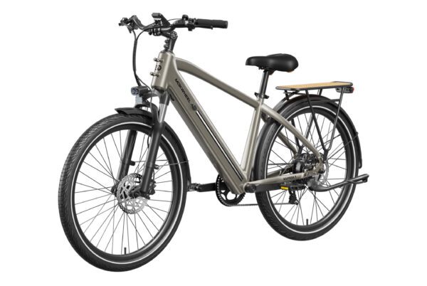 The Asphalt Ebike, shown in gray with a step-over frame, front suspension, disc brakes, and rear rack, is displayed from a three-quarter rear angle on a white background.