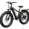 The Tor Plus Ebike is a green electric fat tire bike with front and rear fenders, a rear rack, and disc brakes, displayed on a white background.