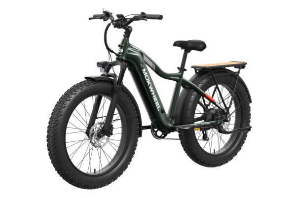 The Tor Plus Ebike is a green electric fat tire bike with front and rear fenders, a rear rack, and disc brakes, displayed on a white background.