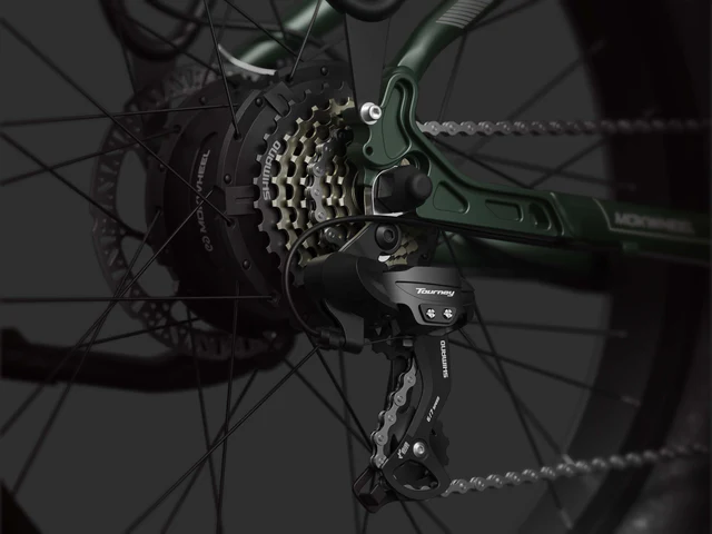 Close-up view of a bicycle’s rear derailleur, cassette, and chain on a dark green frame, showcasing the gear mechanism and spokes.