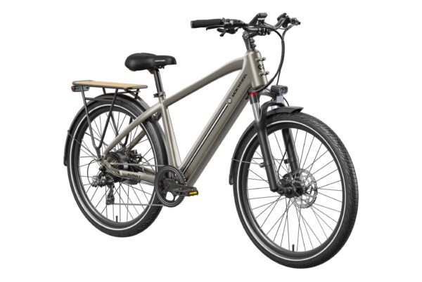 The Asphalt Ebike, a gray electric bicycle with front and rear fenders, disc brakes, a rear cargo rack, and a step-over frame, is shown angled from the rear right side.