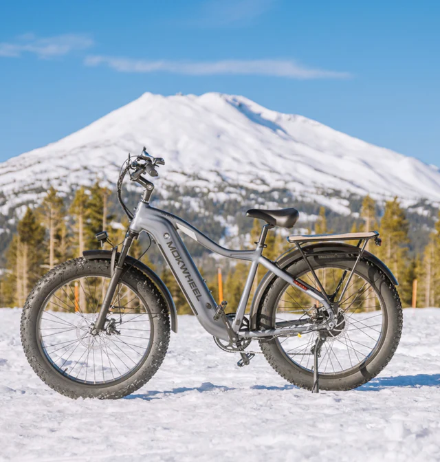 A silver fat-tire electric bicycle stands on snow with a snowy mountain and pine trees in the background under a clear blue sky.