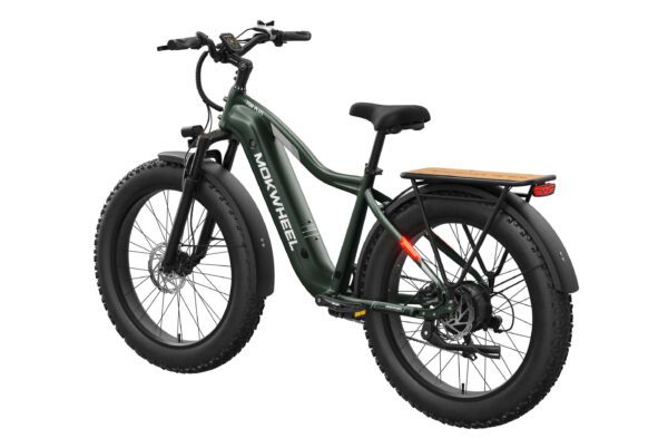A green Tor Plus Ebike by MOKWHEEL, featuring fat tires, rear rack, fenders, front suspension fork, and wide tires, shown on a white background.