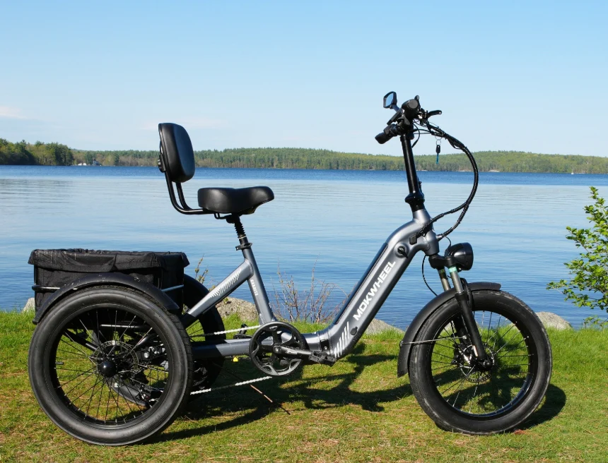 A silver three-wheel electric bike with a black seat and backrest is parked on grass beside a lake, with trees and clear sky in the background.