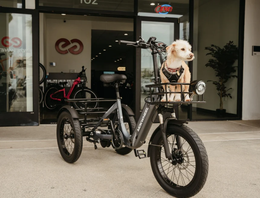 A small dog sits in a front cargo rack on a black electric bike parked outside a store with glass doors and bikes inside.