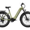 Olive green MOKWHEEL electric bike with thick tires, rear rack, front suspension fork, and low-step frame, shown in side profile on a white background.