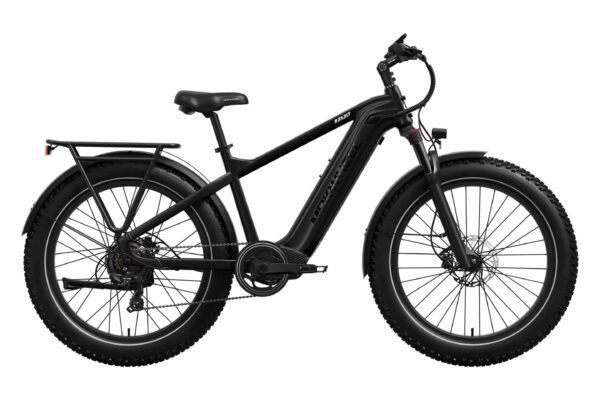 The Basalt Ebike is a black electric fat tire bicycle featuring a rear cargo rack, front suspension fork, and disc brakes, displayed in side profile against a white background.