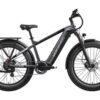 The Basalt Ebike is a black electric bike with thick fat tires, a rear cargo rack, and a frame-integrated battery, shown in side view on a white background.