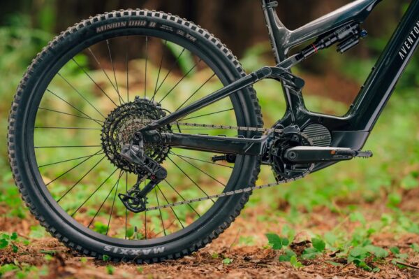 Close-up of the rear wheel and drivetrain of a mountain bike on a forest floor with leaves and green plants.