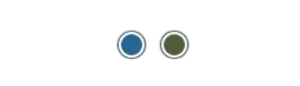 Two small circles, one blue and one green, each outlined in white and black, centered on a plain white background.