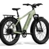 Sage green Aventon fat-tire electric bike with a rear rack and fenders.