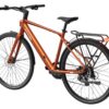 Copper-colored Mokwheel electric commuter bike with a rear rack, fenders, and disc brakes.